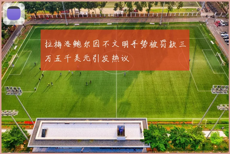 拉梅洛鲍尔因不文明手势被罚款三万五千美元引发热议