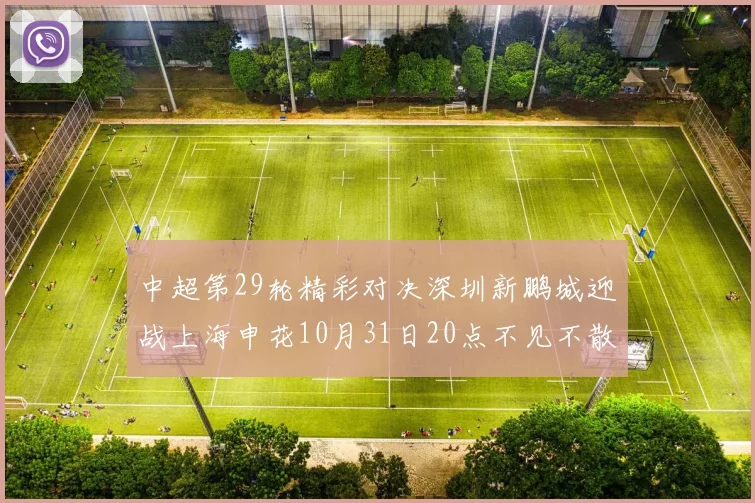 中超第29轮精彩对决深圳新鹏城迎战上海申花10月31日20点不见不散
