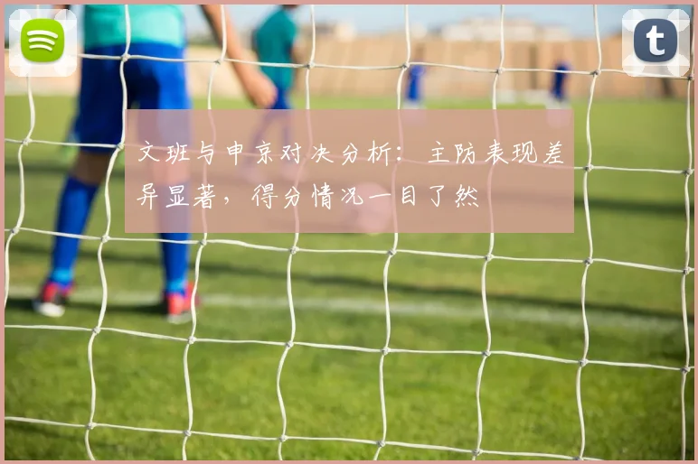 文班与申京对决分析：主防表现差异显著，得分情况一目了然